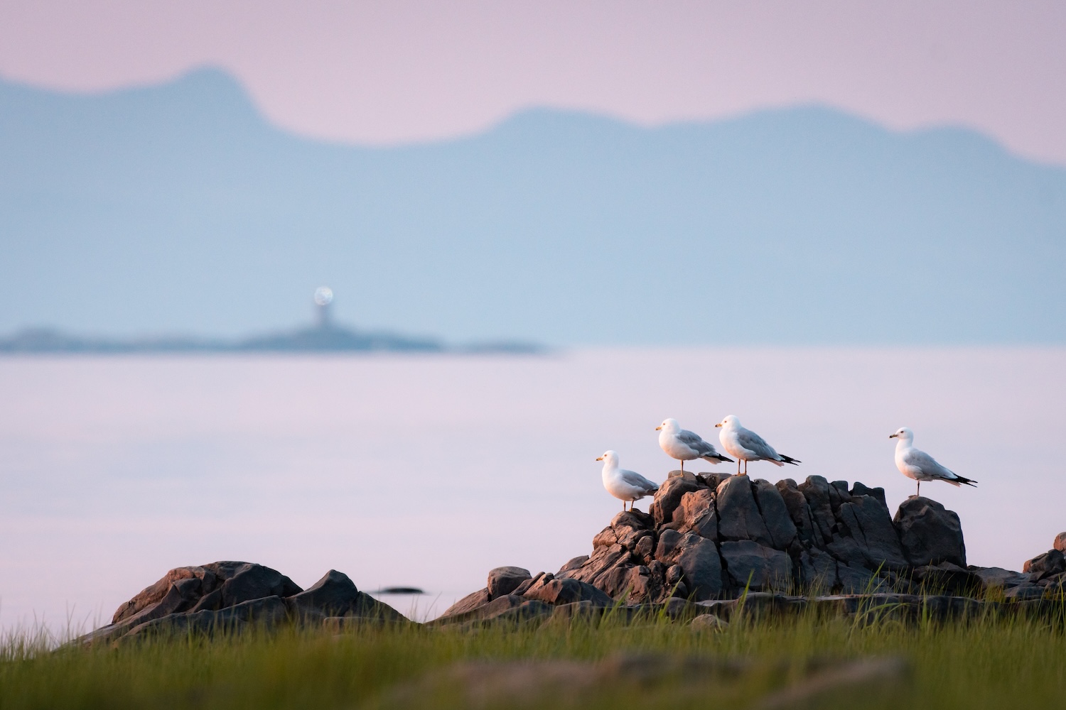 L'Islet, par DanielTphoto