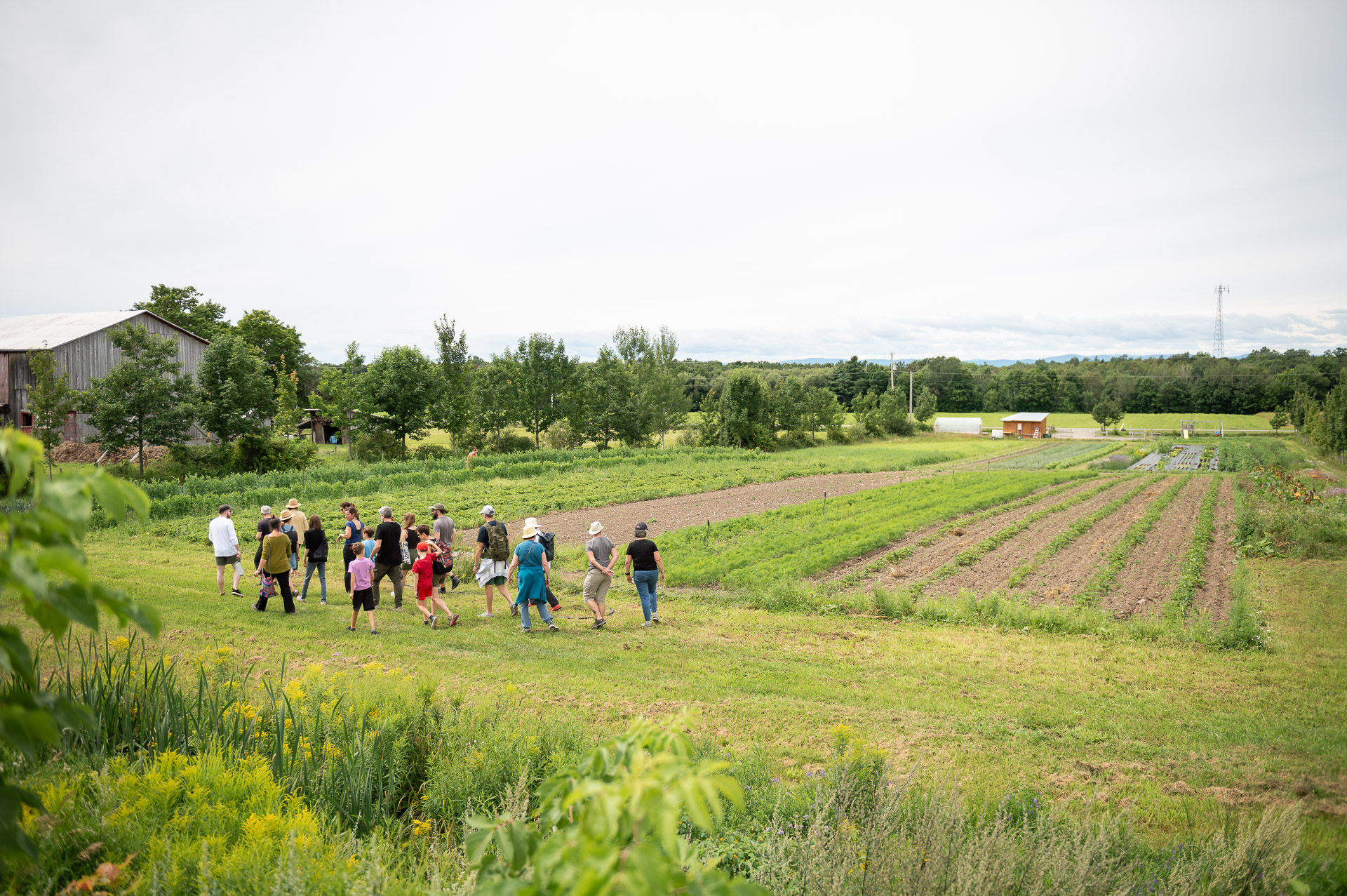 Visite de ferme, par DanielTphoto