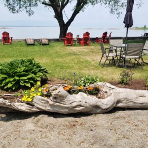 L’Âme du Fleuve – Création en Bois Flottés