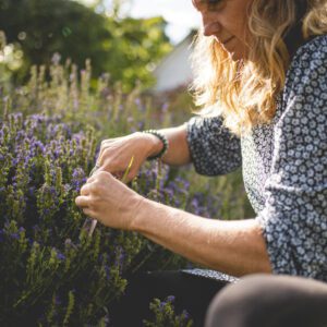 Immersion au cœur du jardin médicinale de Sonia Lanoë