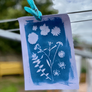Bleu comme cyanotype