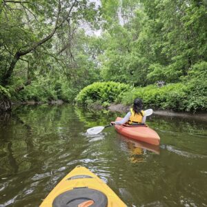 Au coeur de la rivière Ferré : balade guidée en kayak
